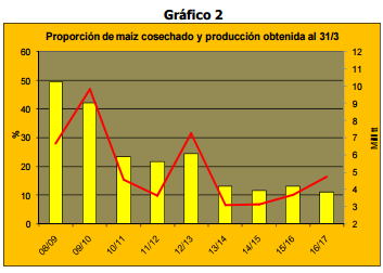 Proporción de maíz cosechado y producción obtenida al 31/3